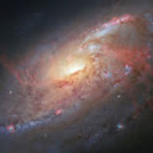 Meet your Posher, Darrick